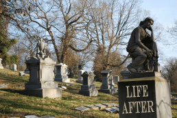 Life After